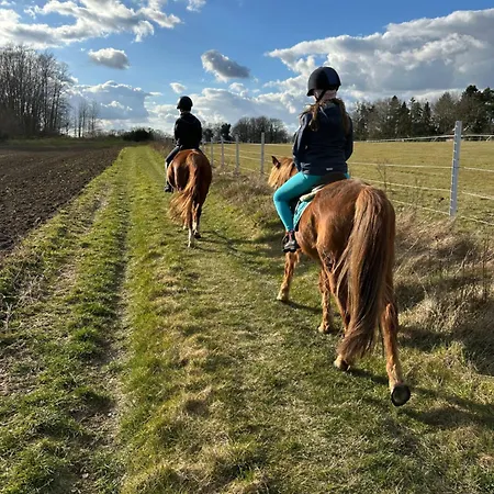 Ponyhof شقة *